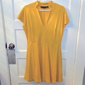 NY&C work dress